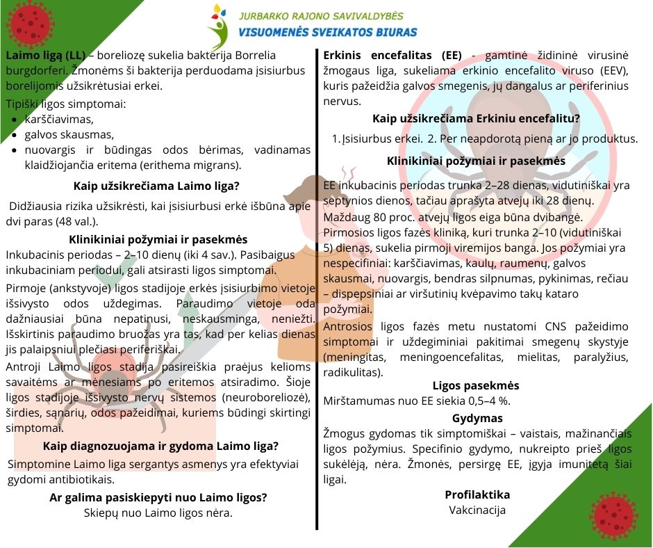 Laimo ligą LL boreliozę sukelia bakterija Borrelia burgdorferi